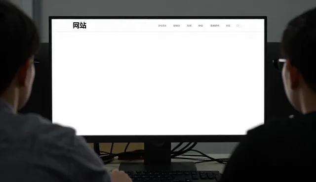 竞争力客户如何选择软件开发