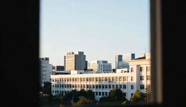 链接建设中选择依据的两种做法对比与实际取舍
